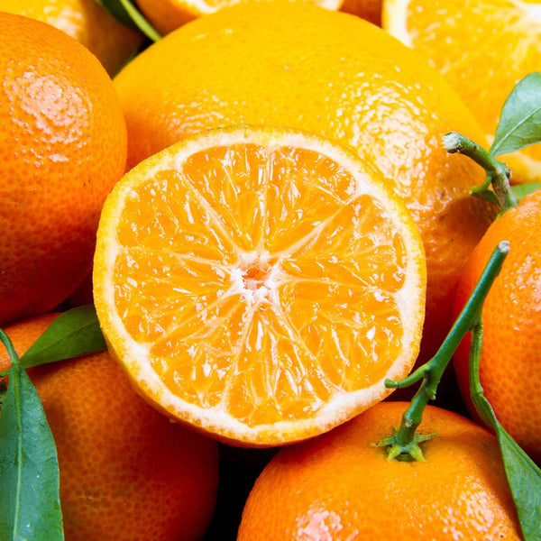 THE ANTIVIRAL PROPERTIES OF VITAMIN C - Dr. Moritz