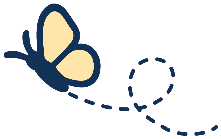 flying butterfly